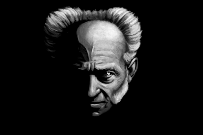 جهان تاریک ما و فلسفه شوپنهاوری