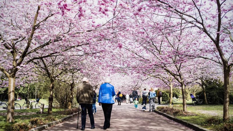 بنجامین رَدکلیف: کدام نظام سیاسی «خوشبختی» بیشتری ایجاد میکند؟