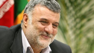 محمود حجتی