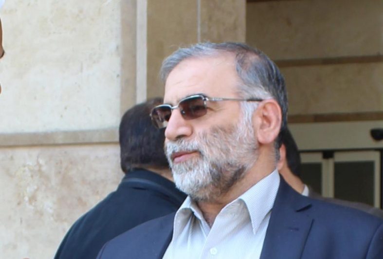 محسن فخری زاده