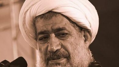 آیت‌الله امجد آماج قضاوت‌های احساسی بجای نقدهای علمی
