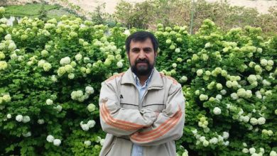 شهاب الدین حائری شیرازی