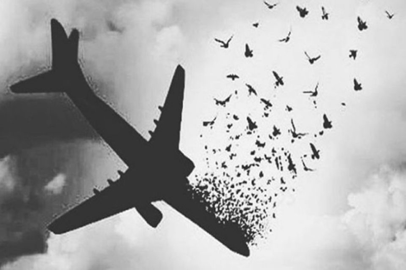 ضعف رسانه در پوشش ماجرای هواپیمای اوکراینی