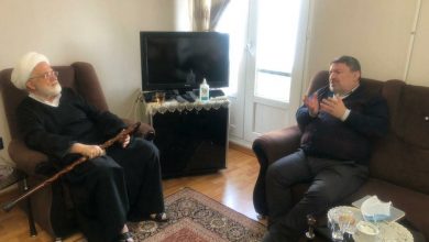 گزارش دیدار الیاس حضرتی با مهدی کروبی