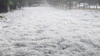 شادی مردم عربستان از گسترده‌شدن فرش یخی در صحرا