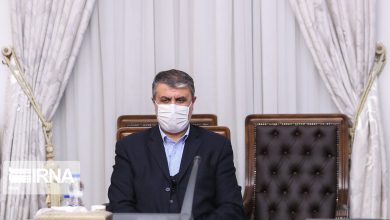 محمد اسلامی رییس سازمان انرژی اتمی