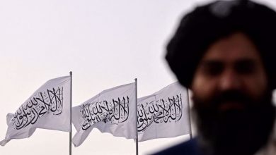 طالبان