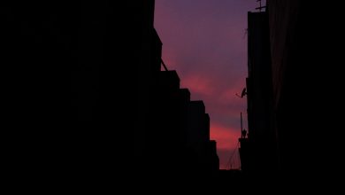 عکس: ناگهان رنگ! غروب تهران