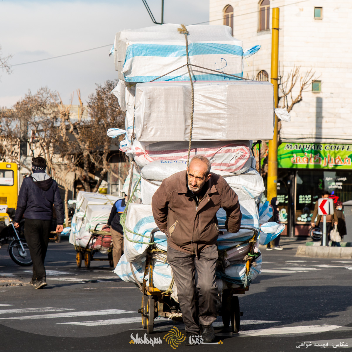 گاری های بازار