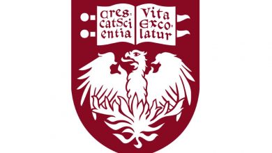 بچه های شیکاگو