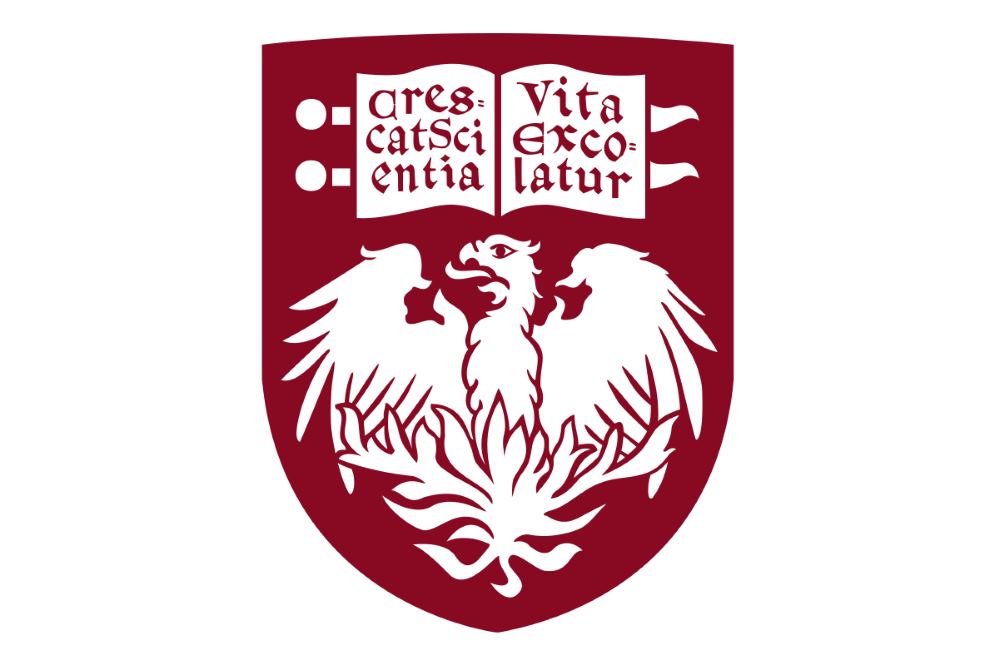 بچه های شیکاگو