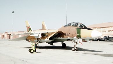 تامکت _ اف 14 ارتش ایران