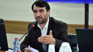 مرتضی شاه میرزایی