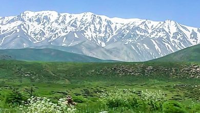 زاگرس