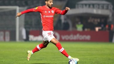 محمد محبی به استقلال پیوست