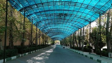دانشگاه تهران