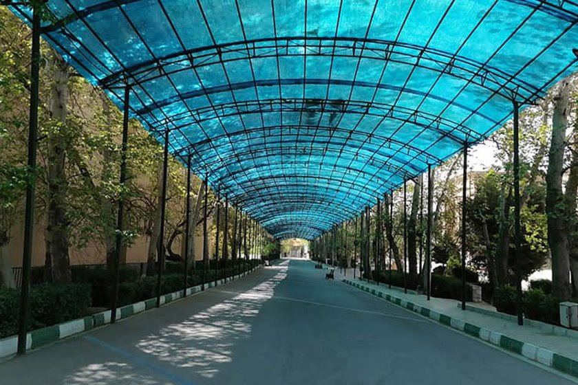 دانشگاه تهران