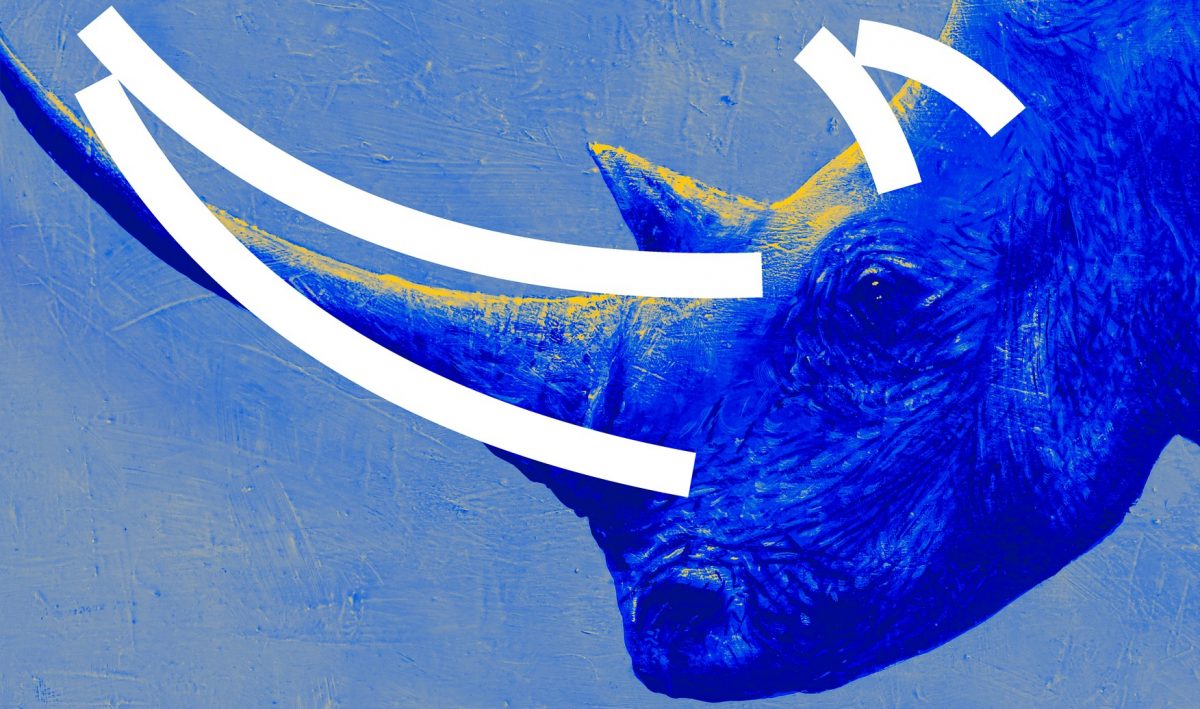 کرگدن های میرفتاح