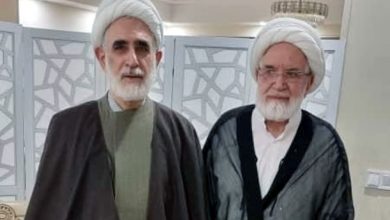 منتجب‌نیا پس از دیدار با کروبی: مهم‌تر از انتخابات سال آینده، مشکلات جاری مردم است