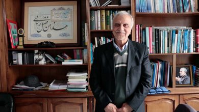 سید مصطفی هاشمی‌طبا