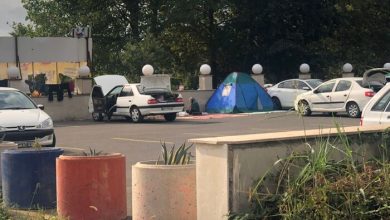 رشد سفرهای غیرسازمان‌دهی شده