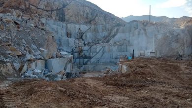 عرضه اولیه کتوسعه