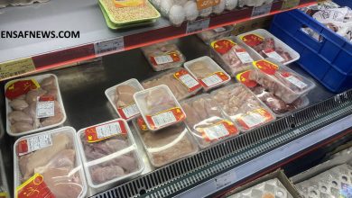 اول طغیان، اکنون هجران؛ نایاب شدن گوشت چرخ‌کرده در تهران