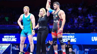 دست دادن یزدانی با داور زن، دست ندادن سفیر با ملکه اسپانیا