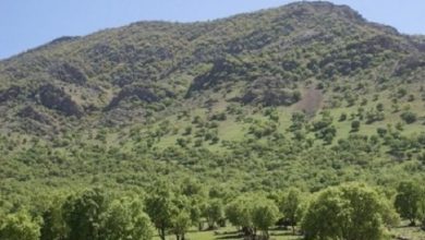 نرخ فلاکت در لرستان به ۶۷.۲ رسید | گزارشی از وضعیت زاگرس