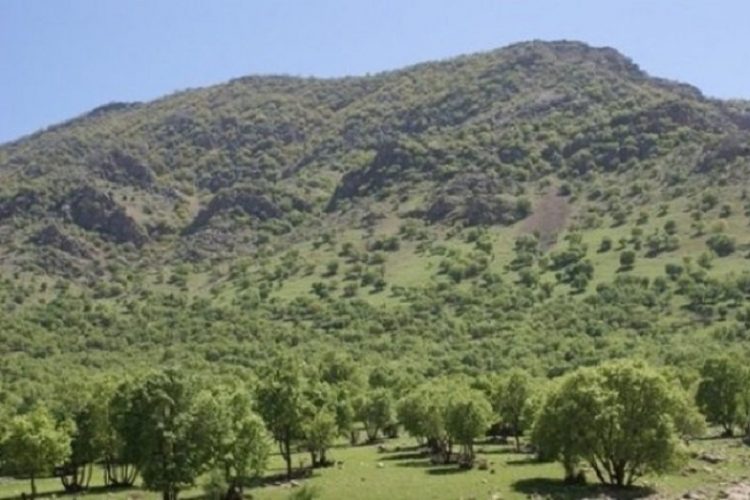 نرخ فلاکت در لرستان به ۶۷.۲ رسید | گزارشی از وضعیت زاگرس