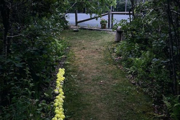 یادداشتی درباری شکست