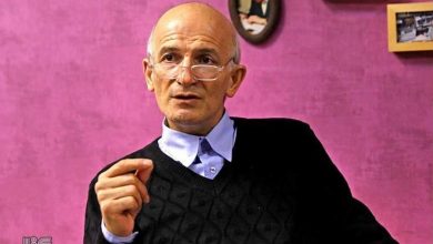 کنشگر مرزی دست چپ دولت است و دموکراسی عمیق می‌خواهد