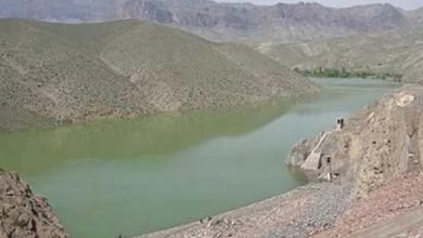 «سد بالاخانلو قزوین در نیمه دوم سال جاری آبگیری می‌شود»