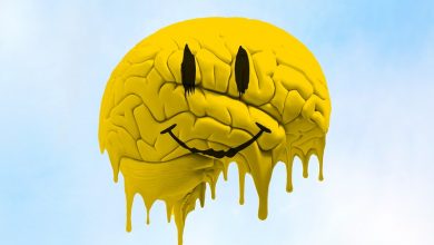 شادکامی؛ از راهنمایی عملی تا تأملی در مبانی نظری