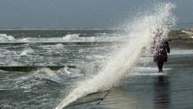 هشدار هواشناسی بوشهر نسبت به مواجی خلیج فارس