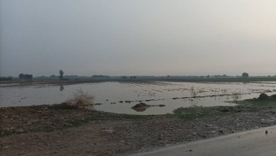 سیل در روستای کوشکک در استان خوزستان