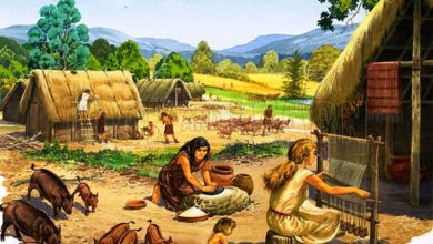 «شروع زندگی در خراسان شمالی به دوره نوسنگی برمیگردد»