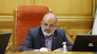 وزیر کشور از آخرین وضعیت لایحه ساماندهی تجمعات گفت