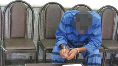 سرقت ماشین با کمک مرغ و خروس