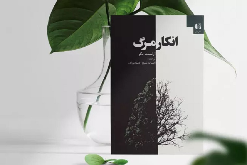 انکار مرگ | راز ناگشودهای به نام مرگ