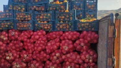 قاچاق پیاز در پوست پرتقال در مرز ایران و عراق