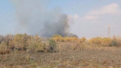 «آتش‌سوزی در روستای «چاه شور» گناوه مهار شد»