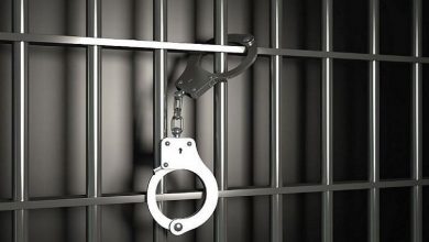 کشف ۱۷۲ فقره سرقت و دستگیری ۱۳۴ نفر سارق در پردیس
