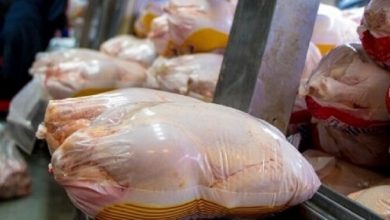 «پرواز مرغ در بوشهر بالاتر از نرخ مصوب»