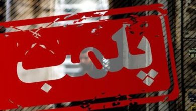 ۱۹۵ آرایشگاه متخلف در یاسوج پلمب شدند | چند شاکی آسیب جدی دیدند