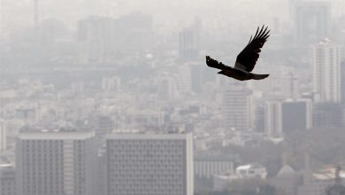 «۶۵ درصد کل بنزین کشور غیراستاندارد است»
