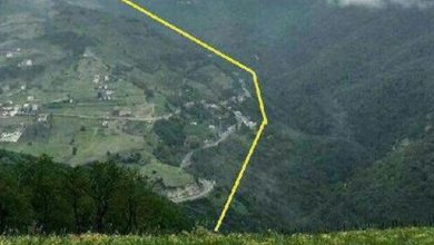 قطع درختان جنگل نمین اردبیل توسط قاچاقچیان