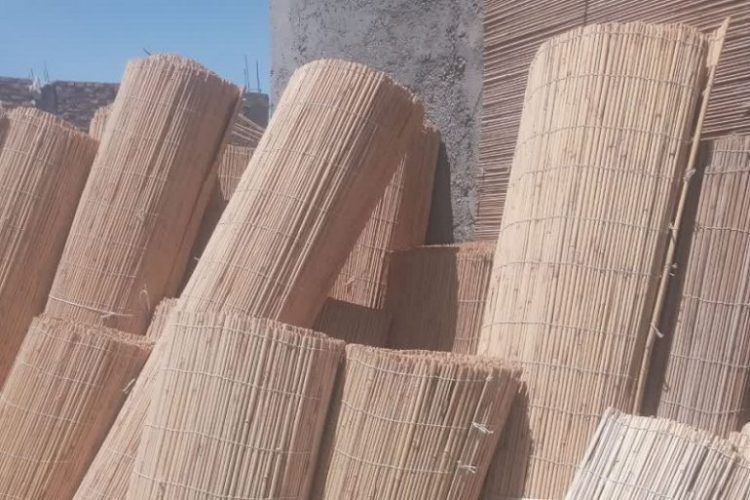 «حصیربافی های سیستان به کشورهای حوزه خلیج فارس صادر شد»