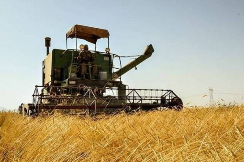 کسب رتبه اول استانی در اجرای طرح کشاورزی قراردادی پلدشت آذربایجان غربی