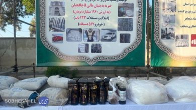 کشف ۵۰۰ کیلوگرم شیشه در هرمزگان با منشأ افغانستان